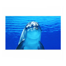 Бумага для упаковки 3D с принтом Дельфин в Кировске, пластик и полированная сталь | круглая форма, металлическое крепление в виде кольца | вода | дельфин | море | отдых | отпуск | подводный мир | туризм