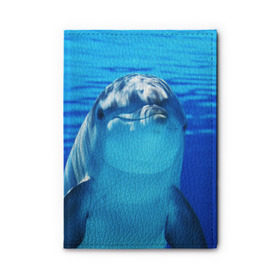 Обложка для автодокументов с принтом Дельфин в Кировске, натуральная кожа |  размер 19,9*13 см; внутри 4 больших “конверта” для документов и один маленький отдел — туда идеально встанут права | вода | дельфин | море | отдых | отпуск | подводный мир | туризм