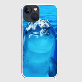 Чехол для iPhone 13 mini с принтом Дельфин в Кировске,  |  | вода | дельфин | море | отдых | отпуск | подводный мир | туризм