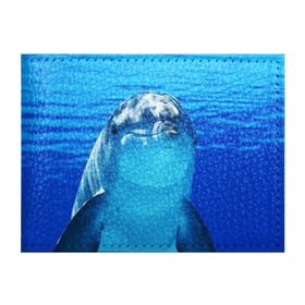 Обложка для студенческого билета с принтом Дельфин в Кировске, натуральная кожа | Размер: 11*8 см; Печать на всей внешней стороне | вода | дельфин | море | отдых | отпуск | подводный мир | туризм
