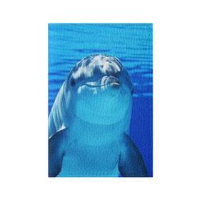 Обложка для паспорта матовая кожа с принтом Дельфин в Кировске, натуральная матовая кожа | размер 19,3 х 13,7 см; прозрачные пластиковые крепления | вода | дельфин | море | отдых | отпуск | подводный мир | туризм
