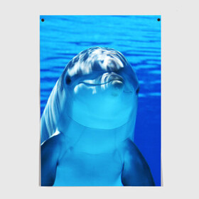 Постер с принтом Дельфин в Кировске, 100% бумага
 | бумага, плотность 150 мг. Матовая, но за счет высокого коэффициента гладкости имеет небольшой блеск и дает на свету блики, но в отличии от глянцевой бумаги не покрыта лаком | вода | дельфин | море | отдых | отпуск | подводный мир | туризм