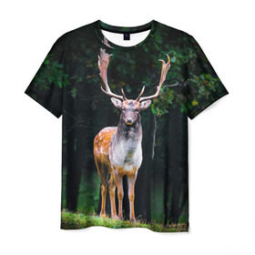 Мужская футболка 3D с принтом Благородный олень в Кировске, 100% полиэфир | прямой крой, круглый вырез горловины, длина до линии бедер | деревья | лес | олень | природа | рога