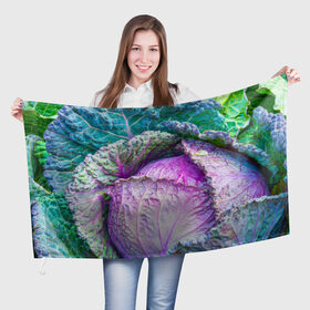 Флаг 3D с принтом Капуста в Кировске, 100% полиэстер | плотность ткани — 95 г/м2, размер — 67 х 109 см. Принт наносится с одной стороны | дача | еда | зелень | капуста | овощи | огород | растения | цветная капуста