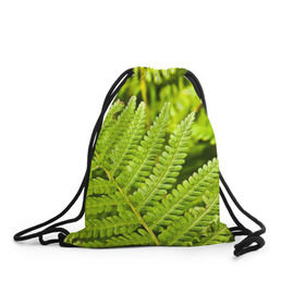Рюкзак-мешок 3D с принтом Папоротник в Кировске, 100% полиэстер | плотность ткани — 200 г/м2, размер — 35 х 45 см; лямки — толстые шнурки, застежка на шнуровке, без карманов и подкладки | ботаника | зелень | листья | папоротник | природа | растения | цветок