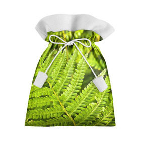 Подарочный 3D мешок с принтом Папоротник в Кировске, 100% полиэстер | Размер: 29*39 см | Тематика изображения на принте: ботаника | зелень | листья | папоротник | природа | растения | цветок