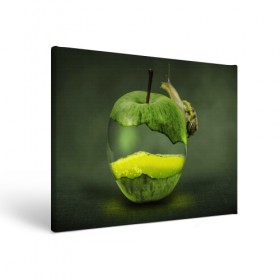 Холст прямоугольный с принтом Яблоко в Кировске, 100% ПВХ |  | арт | зеленый | новые | улитка | фантастика | фрукты | яблоко