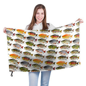 Флаг 3D с принтом Рыбки в Кировске, 100% полиэстер | плотность ткани — 95 г/м2, размер — 67 х 109 см. Принт наносится с одной стороны | bait | fish | fishing | lure | tackle | блесна | наживка | приманка | рыба | рыбалка | снасть