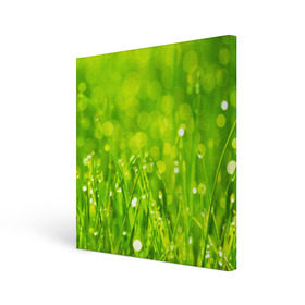 Холст квадратный с принтом Роса на траве в Кировске, 100% ПВХ |  | зелёный | зелень | луг | роса | яркий