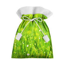 Подарочный 3D мешок с принтом Роса на траве в Кировске, 100% полиэстер | Размер: 29*39 см | Тематика изображения на принте: зелёный | зелень | луг | роса | яркий