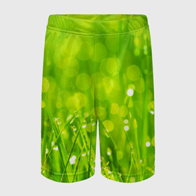 Детские спортивные шорты 3D с принтом Роса на траве в Кировске,  100% полиэстер
 | пояс оформлен широкой мягкой резинкой, ткань тянется
 | Тематика изображения на принте: зелёный | зелень | луг | роса | яркий