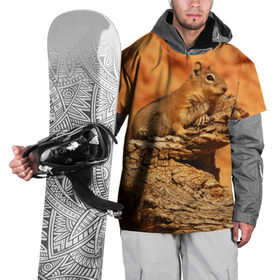Накидка на куртку 3D с принтом Суслик в Кировске, 100% полиэстер |  | Тематика изображения на принте: голова животного | грызун | песок | природа | пустыня | степь | суслик