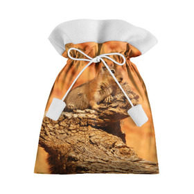 Подарочный 3D мешок с принтом Суслик в Кировске, 100% полиэстер | Размер: 29*39 см | Тематика изображения на принте: голова животного | грызун | песок | природа | пустыня | степь | суслик