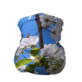 Бандана-труба 3D с принтом Вишнёвый цвет в Кировске, 100% полиэстер, ткань с особыми свойствами — Activecool | плотность 150‒180 г/м2; хорошо тянется, но сохраняет форму | весна | вишня | лепестки | прикольные картинки | цветение | цветы
