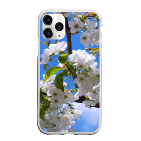 Чехол для iPhone 11 Pro Max матовый с принтом Вишнёвый цвет в Кировске, Силикон |  | весна | вишня | лепестки | прикольные картинки | цветение | цветы