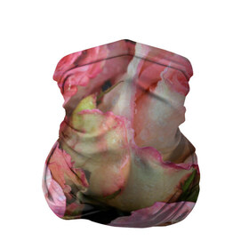 Бандана-труба 3D с принтом Розы в Кировске, 100% полиэстер, ткань с особыми свойствами — Activecool | плотность 150‒180 г/м2; хорошо тянется, но сохраняет форму | букет | вода | капли | лепестки | природа | растения | розовые | розы | роса | цветок | цветы