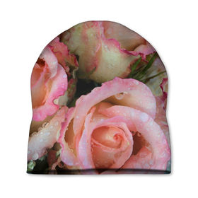 Шапка 3D с принтом Розы в Кировске, 100% полиэстер | универсальный размер, печать по всей поверхности изделия | букет | вода | капли | лепестки | природа | растения | розовые | розы | роса | цветок | цветы