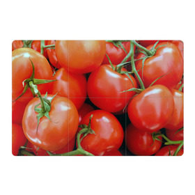 Магнитный плакат 3Х2 с принтом Томаты в Кировске, Полимерный материал с магнитным слоем | 6 деталей размером 9*9 см | дача | еда | зелень | красный | овощи | огород | помидоры | томаты