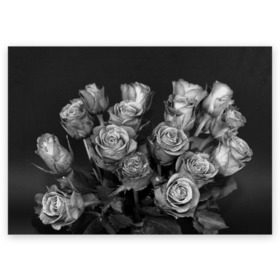 Поздравительная открытка с принтом Черно-белые розы в Кировске, 100% бумага | плотность бумаги 280 г/м2, матовая, на обратной стороне линовка и место для марки
 | Тематика изображения на принте: букет | цветы