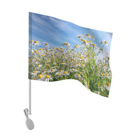 Флаг для автомобиля с принтом Ромашковый рай в Кировске, 100% полиэстер | Размер: 30*21 см | лепестки | небо | прикольные картинки | ромашки | солнце | цветочки | цветы