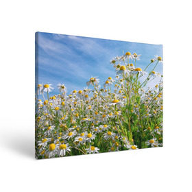 Холст прямоугольный с принтом Ромашковый рай в Кировске, 100% ПВХ |  | лепестки | небо | прикольные картинки | ромашки | солнце | цветочки | цветы