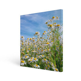 Холст квадратный с принтом Ромашковый рай в Кировске, 100% ПВХ |  | лепестки | небо | прикольные картинки | ромашки | солнце | цветочки | цветы