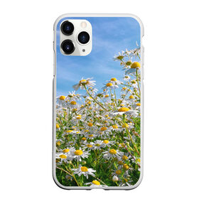 Чехол для iPhone 11 Pro матовый с принтом Ромашковый рай в Кировске, Силикон |  | лепестки | небо | прикольные картинки | ромашки | солнце | цветочки | цветы