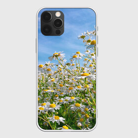 Чехол для iPhone 12 Pro Max с принтом Ромашковый рай в Кировске, Силикон |  | лепестки | небо | прикольные картинки | ромашки | солнце | цветочки | цветы