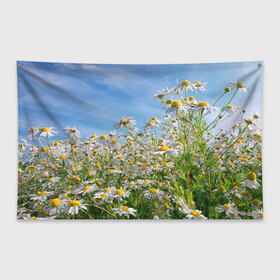 Флаг-баннер с принтом Ромашковый рай в Кировске, 100% полиэстер | размер 67 х 109 см, плотность ткани — 95 г/м2; по краям флага есть четыре люверса для крепления | лепестки | небо | прикольные картинки | ромашки | солнце | цветочки | цветы