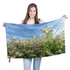 Флаг 3D с принтом Ромашковый рай в Кировске, 100% полиэстер | плотность ткани — 95 г/м2, размер — 67 х 109 см. Принт наносится с одной стороны | лепестки | небо | прикольные картинки | ромашки | солнце | цветочки | цветы