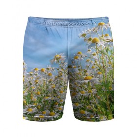 Мужские шорты 3D спортивные с принтом Ромашковый рай в Кировске,  |  | лепестки | небо | прикольные картинки | ромашки | солнце | цветочки | цветы