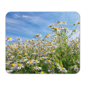 Коврик прямоугольный с принтом Ромашковый рай в Кировске, натуральный каучук | размер 230 х 185 мм; запечатка лицевой стороны | лепестки | небо | прикольные картинки | ромашки | солнце | цветочки | цветы