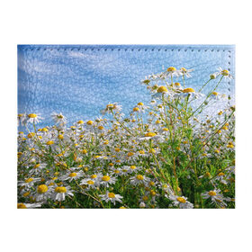 Обложка для студенческого билета с принтом Ромашковый рай в Кировске, натуральная кожа | Размер: 11*8 см; Печать на всей внешней стороне | лепестки | небо | прикольные картинки | ромашки | солнце | цветочки | цветы