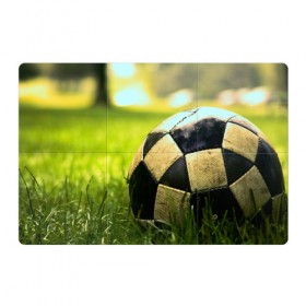 Магнитный плакат 3Х2 с принтом Футбол в Кировске, Полимерный материал с магнитным слоем | 6 деталей размером 9*9 см | стадион | футбольное поле | футбольный мяч