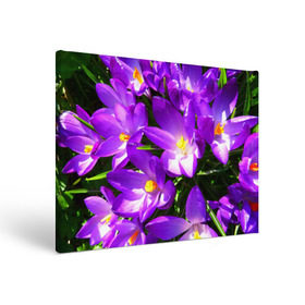 Холст прямоугольный с принтом Сиреневая прелесть в Кировске, 100% ПВХ |  | Тематика изображения на принте: лепестки | прикольные картинки | сиреневый | цветочки | цветы