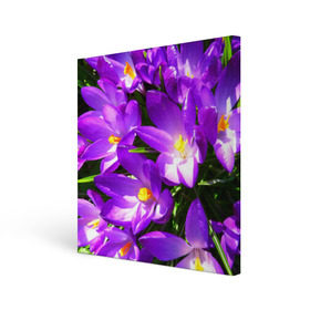 Холст квадратный с принтом Сиреневая прелесть в Кировске, 100% ПВХ |  | лепестки | прикольные картинки | сиреневый | цветочки | цветы