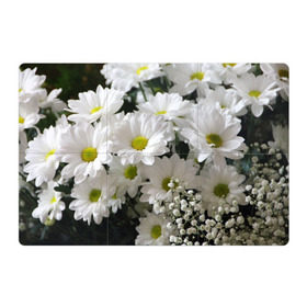 Магнитный плакат 3Х2 с принтом Белоснежное цветение в Кировске, Полимерный материал с магнитным слоем | 6 деталей размером 9*9 см | ландыши | лепестки | прикольные картинки | ромашки | цветочки | цветы