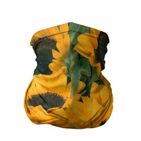 Бандана-труба 3D с принтом Подсолнухи в Кировске, 100% полиэстер, ткань с особыми свойствами — Activecool | плотность 150‒180 г/м2; хорошо тянется, но сохраняет форму | желтый | зеленый | лето | подсолнухи | цветы | черный