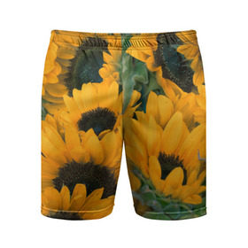 Мужские шорты 3D спортивные с принтом Подсолнухи в Кировске,  |  | желтый | зеленый | лето | подсолнухи | цветы | черный