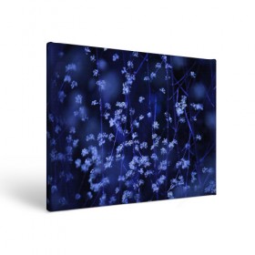 Холст прямоугольный с принтом Ночные цветы в Кировске, 100% ПВХ |  | лепестки | ночь | прикольные картинки | синий | цветочки | цветы