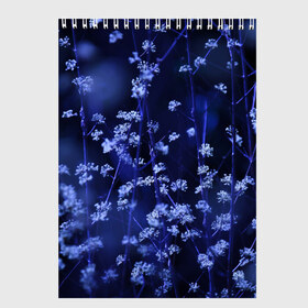 Скетчбук с принтом Ночные цветы в Кировске, 100% бумага
 | 48 листов, плотность листов — 100 г/м2, плотность картонной обложки — 250 г/м2. Листы скреплены сверху удобной пружинной спиралью | Тематика изображения на принте: лепестки | ночь | прикольные картинки | синий | цветочки | цветы