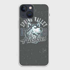 Чехол для iPhone 13 mini с принтом Team t shirt 5 в Кировске,  |  | american football | baseball | fashion | football | sport | sport league | style | team | west | американский футбол | бейсбол | запад | команды | мода | надписи | спорт | спортивные лиги | стиль | футбол | футбольные лиги