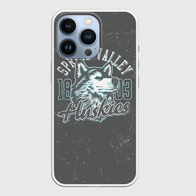 Чехол для iPhone 13 Pro с принтом Team t shirt 5 в Кировске,  |  | american football | baseball | fashion | football | sport | sport league | style | team | west | американский футбол | бейсбол | запад | команды | мода | надписи | спорт | спортивные лиги | стиль | футбол | футбольные лиги