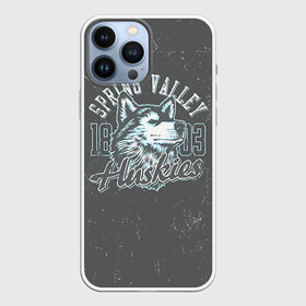 Чехол для iPhone 13 Pro Max с принтом Team t shirt 5 в Кировске,  |  | Тематика изображения на принте: american football | baseball | fashion | football | sport | sport league | style | team | west | американский футбол | бейсбол | запад | команды | мода | надписи | спорт | спортивные лиги | стиль | футбол | футбольные лиги