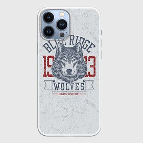 Чехол для iPhone 13 Pro Max с принтом Team t shirt в Кировске,  |  | Тематика изображения на принте: american football | baseball | fashion | football | sport | sport league | style | team | west | американский футбол | бейсбол | запад | команды | мода | надписи | спорт | спортивные лиги | стиль | футбол | футбольные лиги