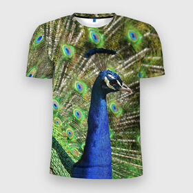 Мужская футболка 3D спортивная с принтом Павлин в Кировске, 100% полиэстер с улучшенными характеристиками | приталенный силуэт, круглая горловина, широкие плечи, сужается к линии бедра | Тематика изображения на принте: животные | павлин | перо | перышки | природа | птица