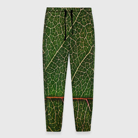 Мужские брюки 3D с принтом Листик в Кировске, 100% полиэстер | манжеты по низу, эластичный пояс регулируется шнурком, по бокам два кармана без застежек, внутренняя часть кармана из мелкой сетки | дерево | зеленый | зелень | лист | природа | растения