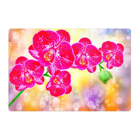 Магнитный плакат 3Х2 с принтом Орхидея в Кировске, Полимерный материал с магнитным слоем | 6 деталей размером 9*9 см | Тематика изображения на принте: лепесток | орхидея | природа | цветок | яркая