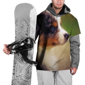 Накидка на куртку 3D с принтом Aussi в Кировске, 100% полиэстер |  | австралийская овчарка | животные | пёс | собака | щенок