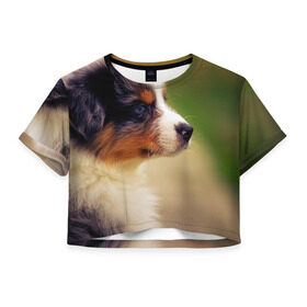 Женская футболка 3D укороченная с принтом Aussi в Кировске, 100% полиэстер | круглая горловина, длина футболки до линии талии, рукава с отворотами | австралийская овчарка | животные | пёс | собака | щенок